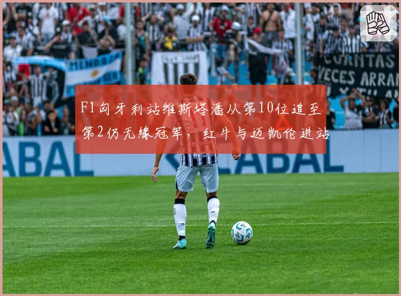 F1匈牙利站维斯塔潘从第10位追至第2仍无缘冠军,红牛与迈凯伦进站策略差距多大?