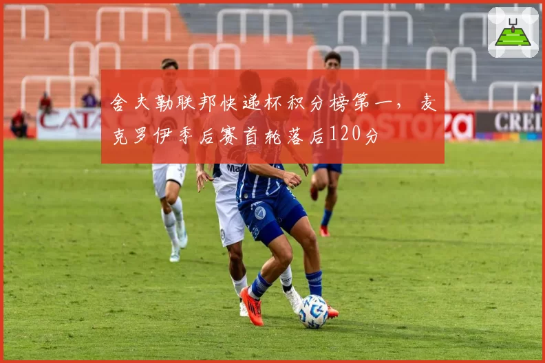 舍夫勒联邦快递杯积分榜第一,麦克罗伊季后赛首轮落后120分