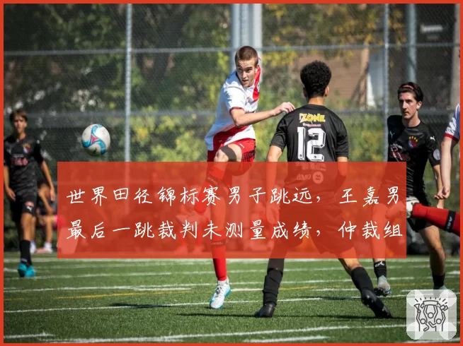 世界田径锦标赛男子跳远，王嘉男最后一跳裁判未测量成绩，仲裁组改判
